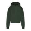 Klassischer Kapuzenpullover aus Baumwollfleece mit Reißverschluss Klassischer Kapuzenpullover aus Baumwollfleece mit Reißverschluss