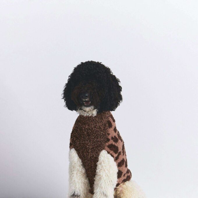 Kuscheliger Strickpullover für Haustiere