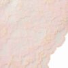 SKIMS LACE UNLINED MINIMIZER BH SKIMS LACE UNLINED MINIMIZER BH